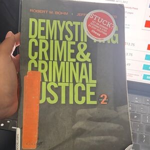 Demystifying Crime & Criminal Justice Notebook - Black